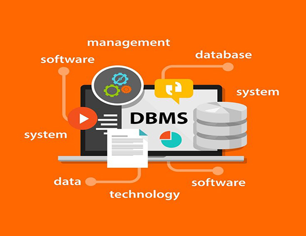 سیستم‌های مدیریت پایگاه داده  (DBMS